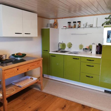 Gemuetliche Wohnung In Einfamilienhaus Alberschwende Luaran gambar