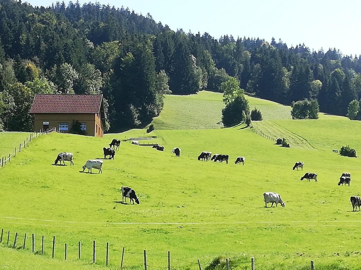 Gemuetliche Wohnung In Einfamilienhaus Alberschwende Luaran gambar