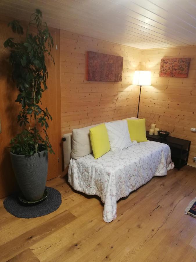 Gemuetliche Wohnung In Einfamilienhaus Alberschwende Luaran gambar