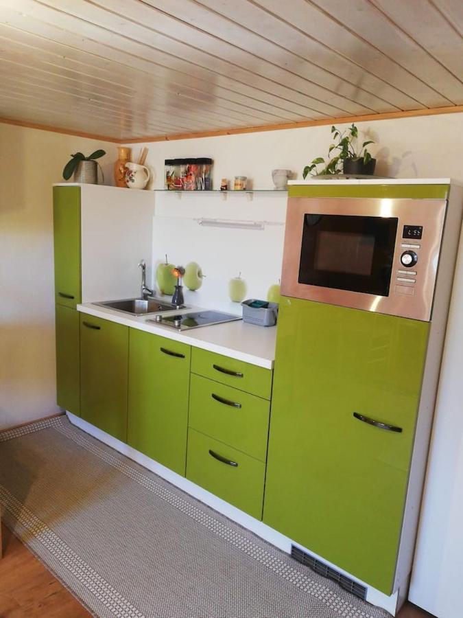 Gemuetliche Wohnung In Einfamilienhaus Alberschwende Luaran gambar